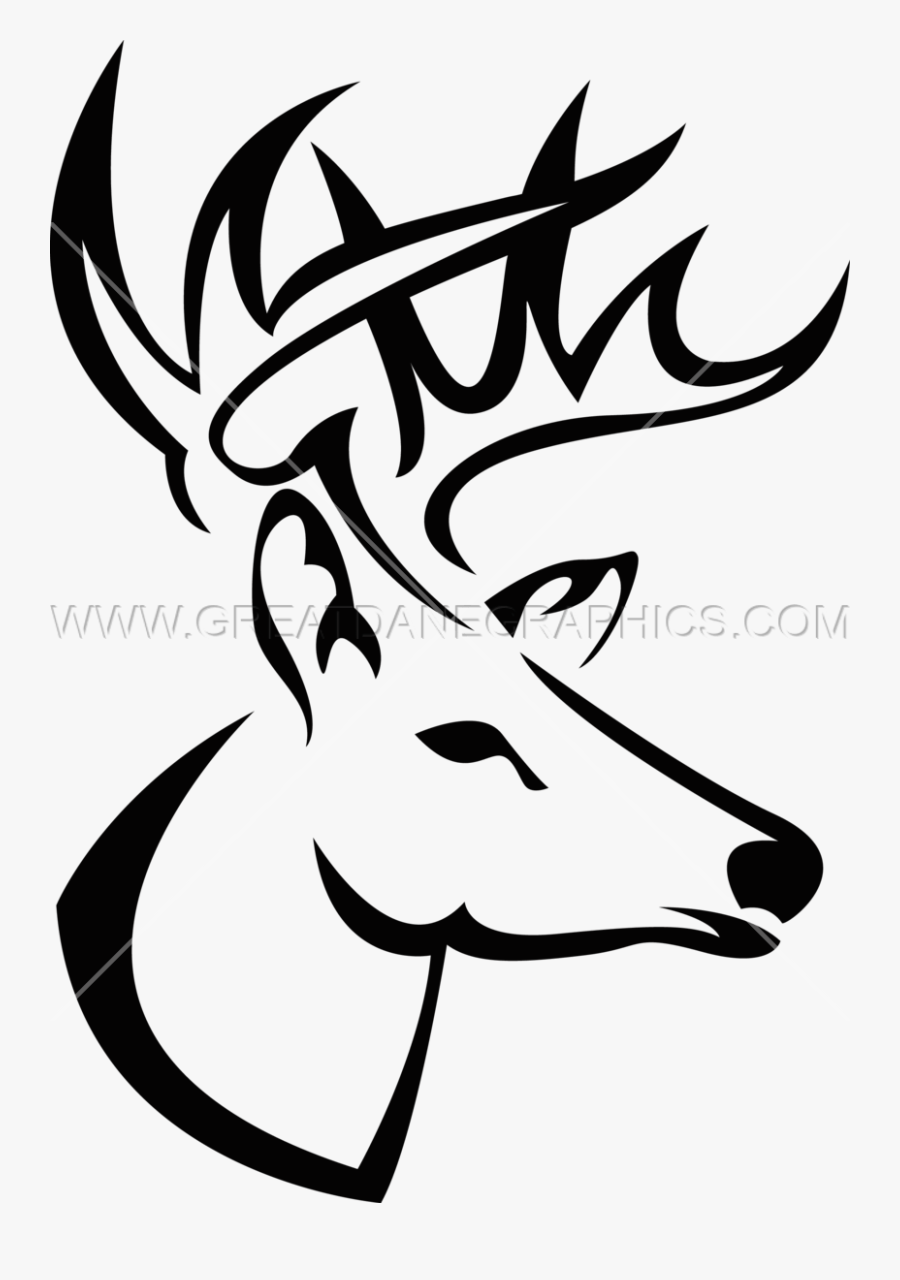 Drawing Head Deer - Drawing Of A Buck, Transparent Clipart