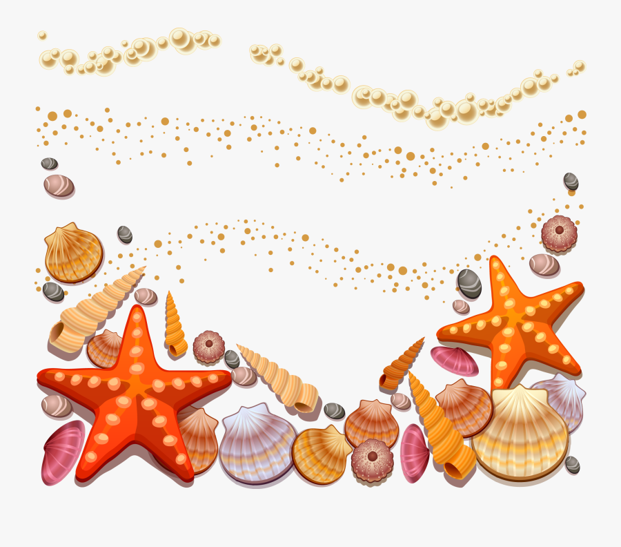 Seashell Conch Clip Art - Sea Shells Vector Free, Transparent Clipart
