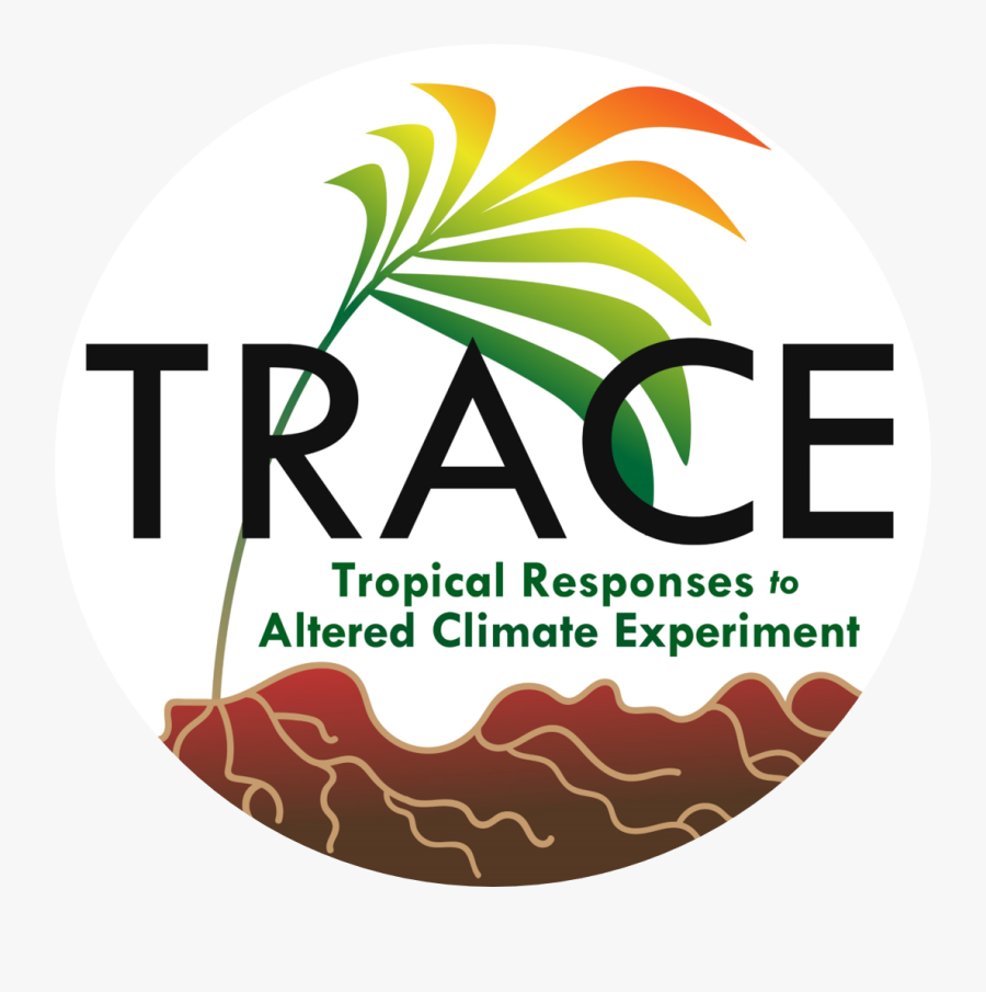 Label, Transparent Clipart