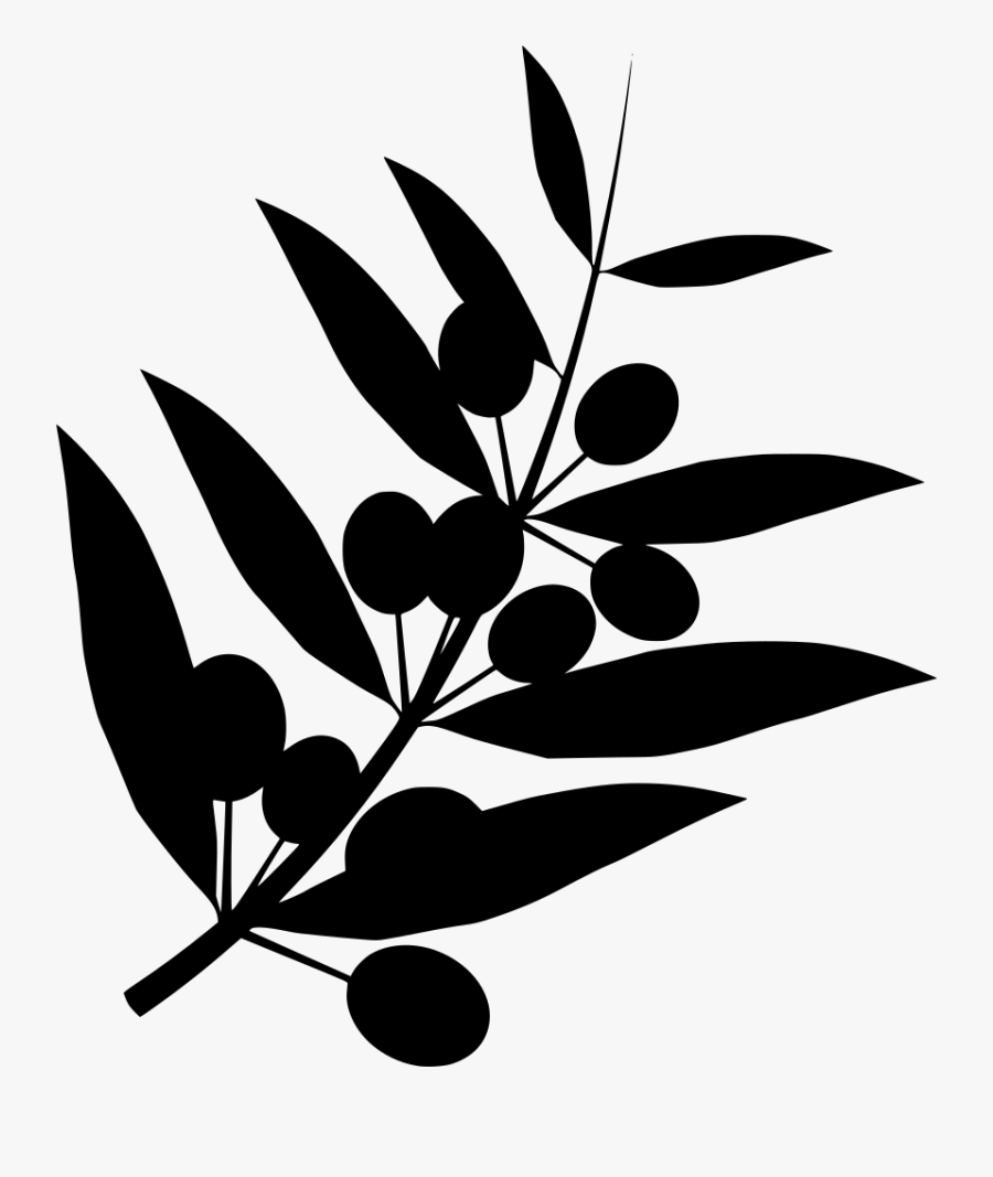 Info Clipart , Png Download - Zeytin Dalı Resimleri, Transparent Clipart