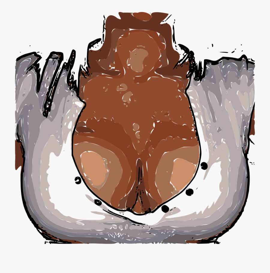 Sexy, Boobs, Breast, Cleavage, Woman, Beautiful, Girl - Hot Joke, Transparent Clipart