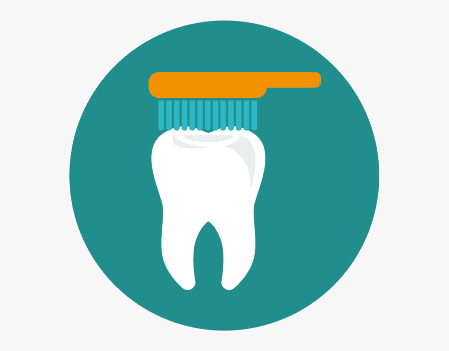 Excelsior Family Dentistry Minnetonka, Transparent Clipart