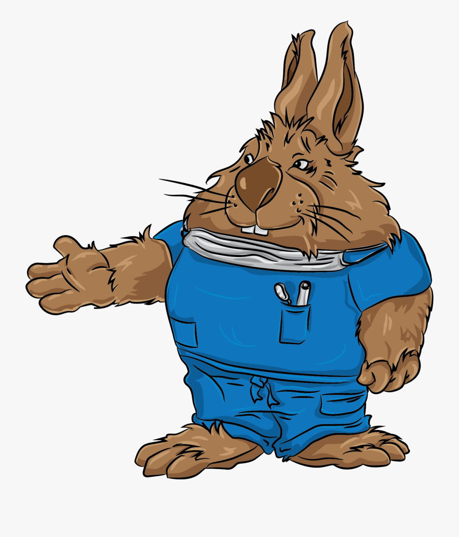 Busy Bunny - Cartoon, Transparent Clipart