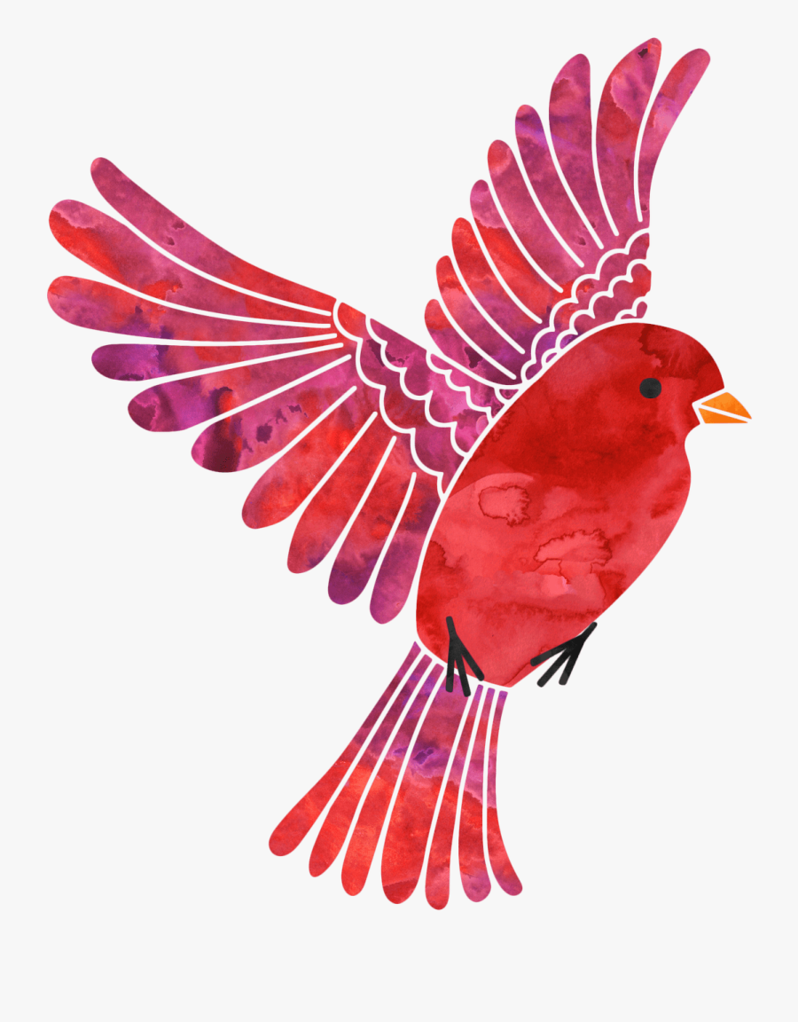 Outdoor Nature Preschool Programs For Children In San - Finch, Transparent Clipart