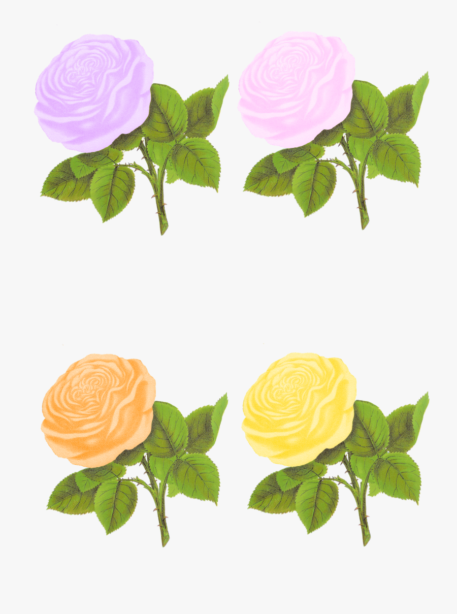 Png Rose Pastel Color, Transparent Clipart