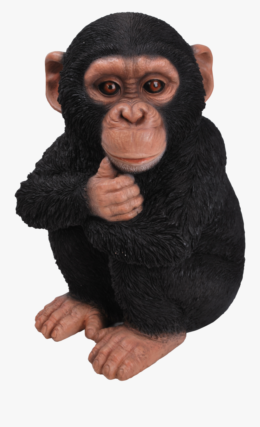 Clip Art Chimpanzee Baby Images - Small Baby Chimpanzee, Transparent Clipart