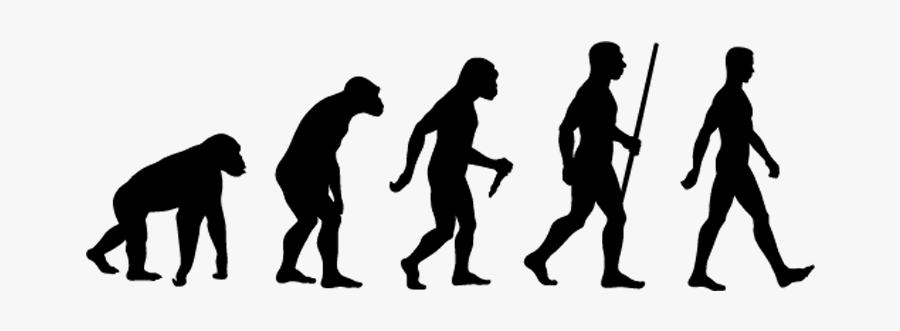 Evolution Theory, Transparent Clipart