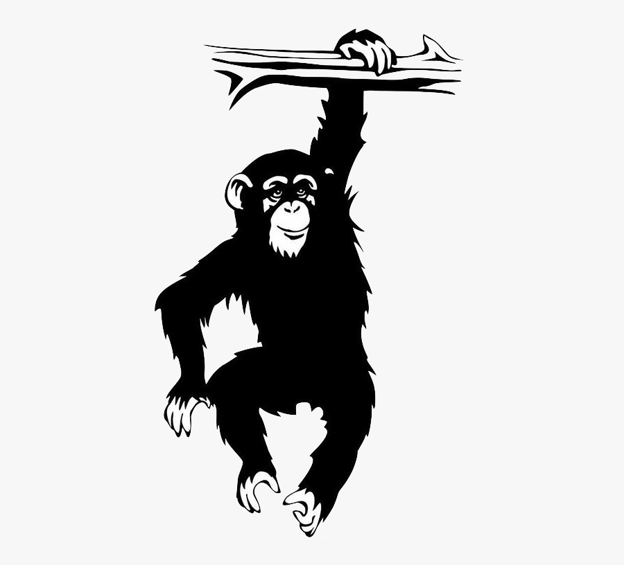 Games Video - Monkey Hanging From Branch, Transparent Clipart