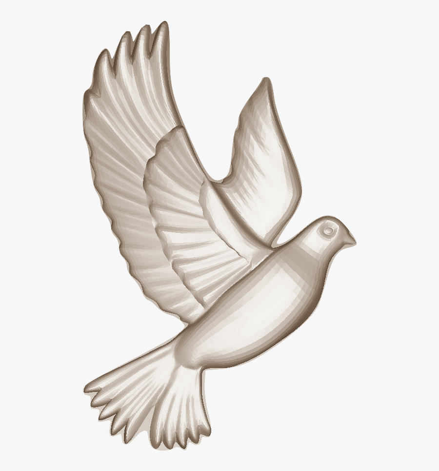 Dove Clipart Memorial - Stock Dove, Transparent Clipart