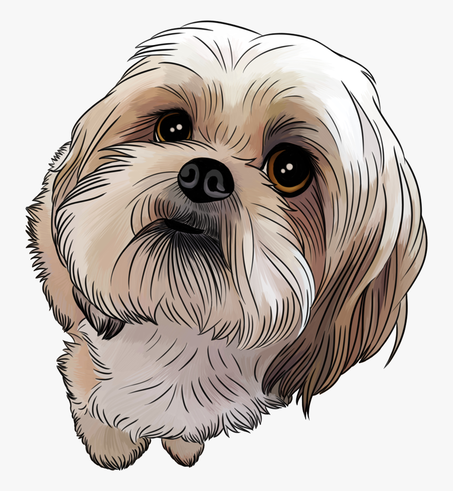 Collection Of Cartoon - Drawing Shih Tzu Cartoon, Transparent Clipart