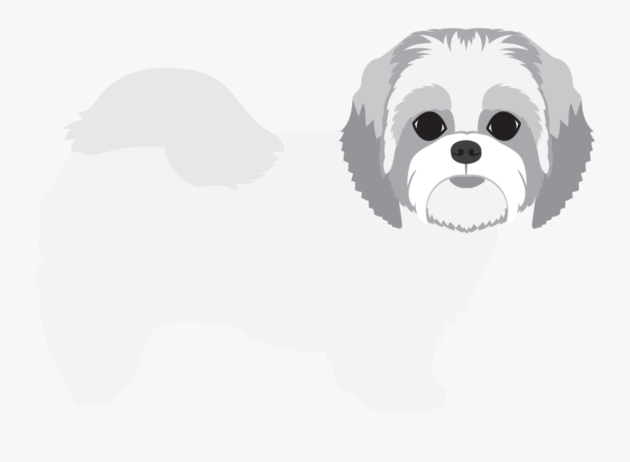 Shih-poo, Transparent Clipart