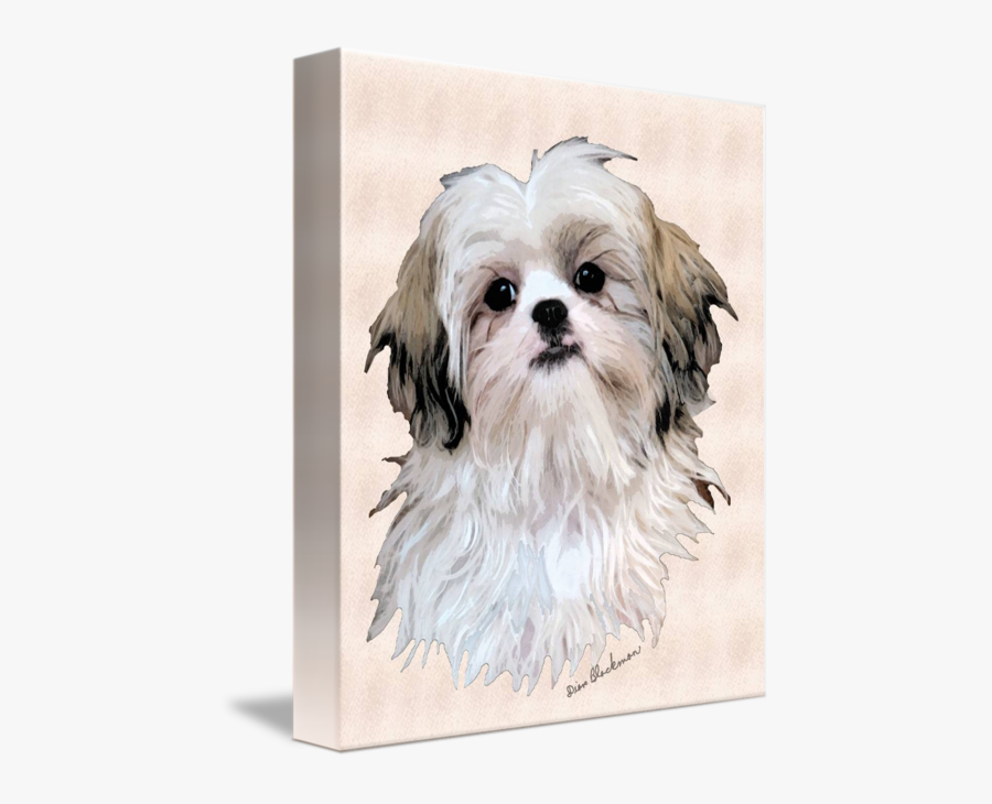 Clip Art By Diane Blackman - Shih Tzu Digital Art, Transparent Clipart