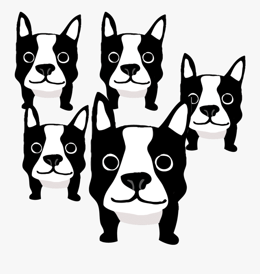 Boston Terrier French Bulldog Dog Breed Shih Tzu - Boston Terrier, Transparent Clipart