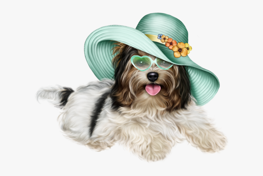 Wishing You A Fantastic Friday, Transparent Clipart