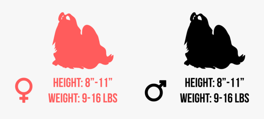 Beautiful Words, Transparent Clipart