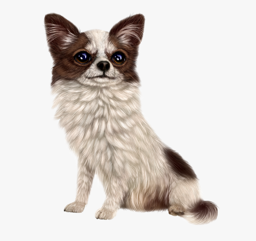Papillon, Transparent Clipart