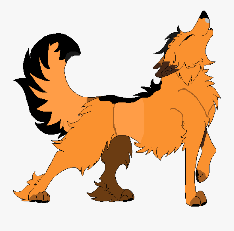Shih Tzu, Transparent Clipart