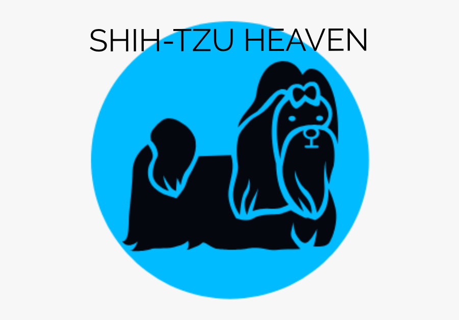 Shih Tzu, Transparent Clipart