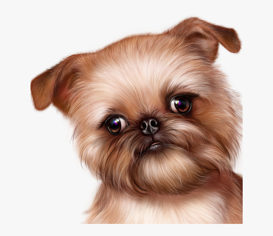 Griffon Bruxellois, Transparent Clipart