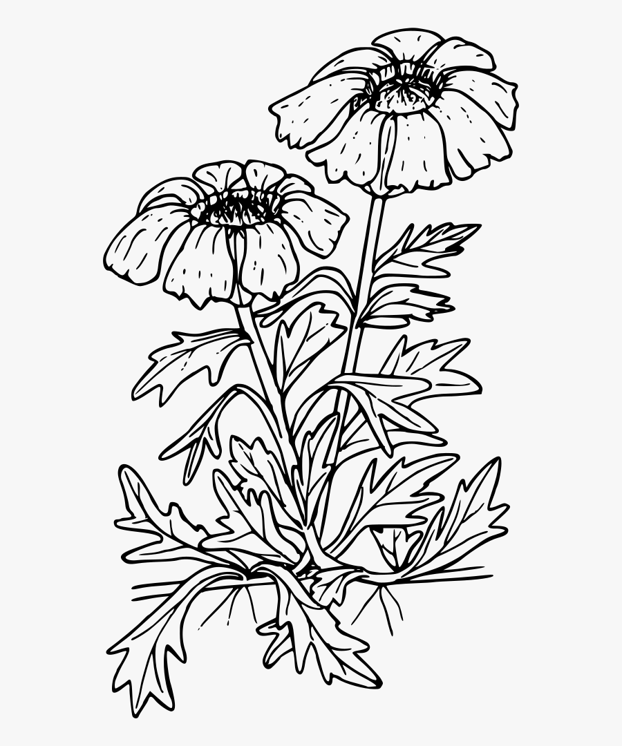 Transparent Lesson Plan Clipart - Lesson Plan, Transparent Clipart