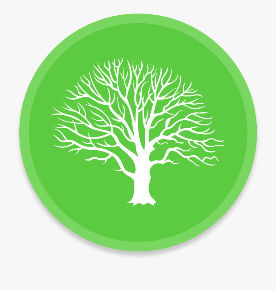 Transparent Arvore Png - Green Tree Png Icon, Transparent Clipart