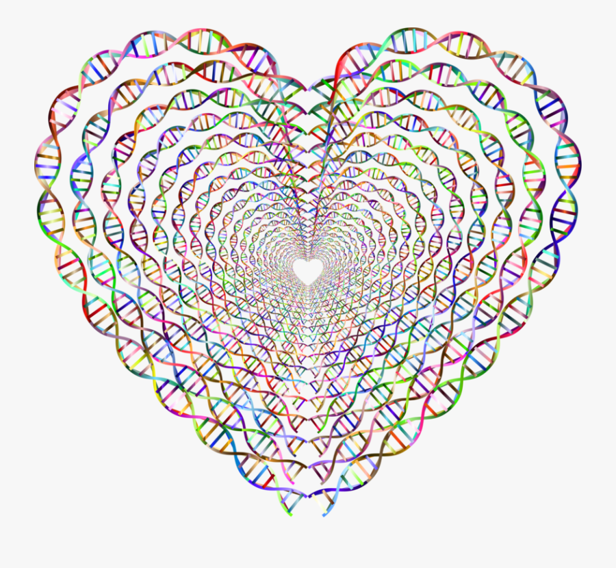 Transparent Dna Helix Clipart - Dna Heart, Transparent Clipart