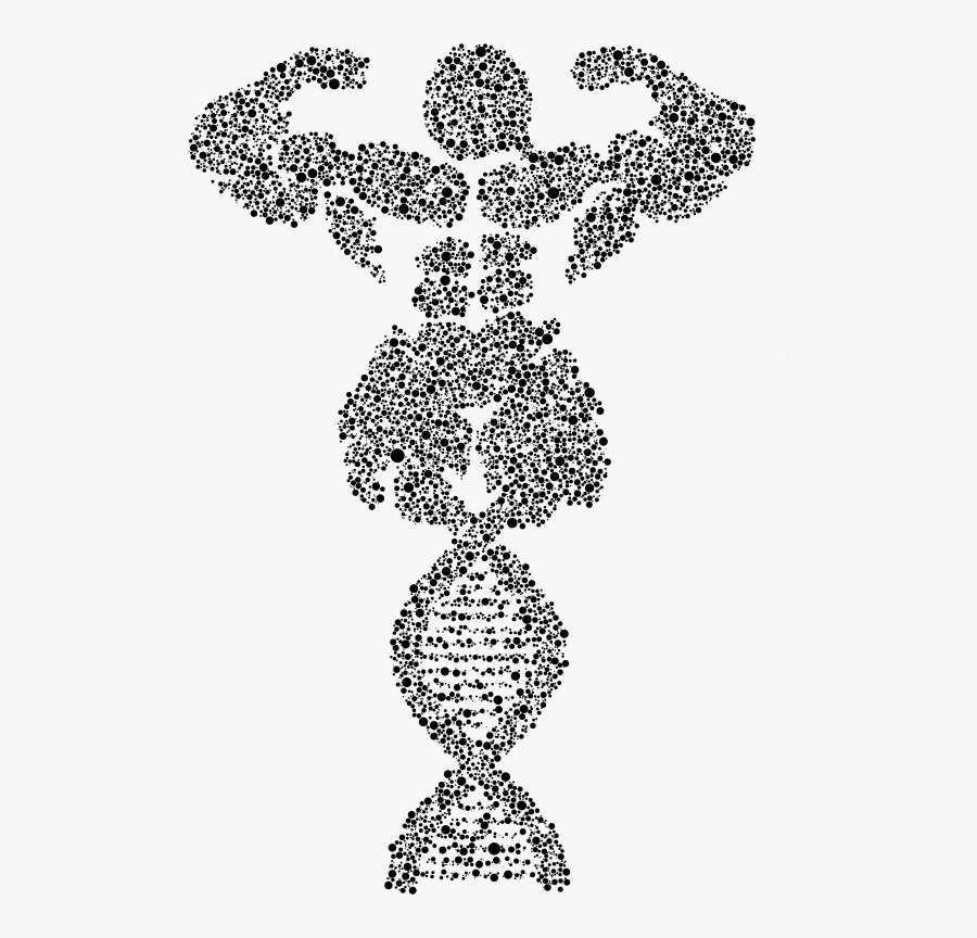 Line Art,art,neck - Line Art, Transparent Clipart