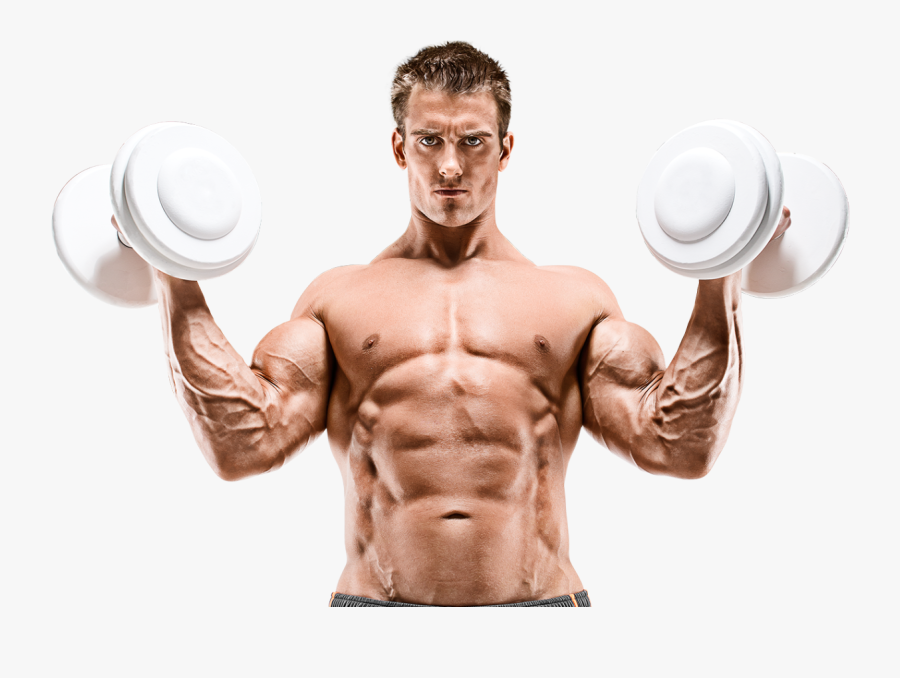Transparent Bicep Curl Clipart - Biceps Curl, Transparent Clipart