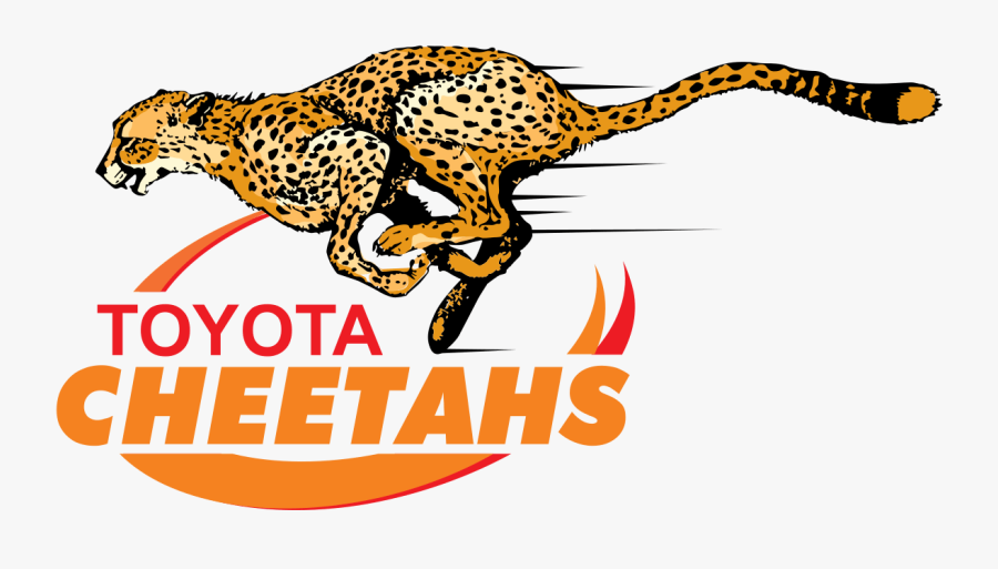 Cheetahs Rugby Logo - Cheetahs Rugby Png, Transparent Clipart