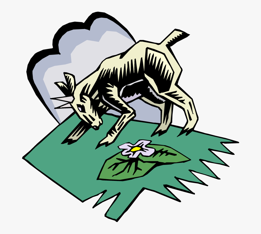 Boer Goat Clipart High Quality Cliparts 4 Free - Goat, Transparent Clipart