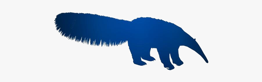Transparent Giant Anteater Clipart, Giant Anteater - Illustration, Transparent Clipart