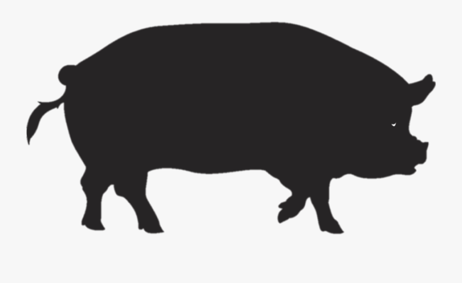 Pork Clipart Pig Tail, Transparent Clipart
