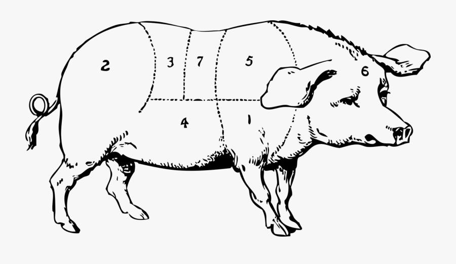 All Photo Png Clipart - Draw And Label A Pig, Transparent Clipart