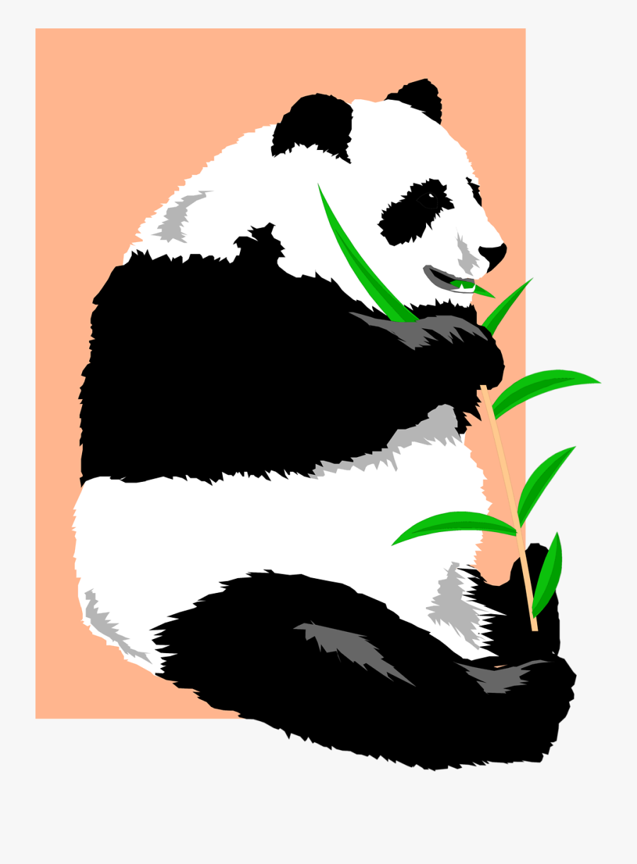 Clipart Panda Giant Panda - Panda Animated, Transparent Clipart