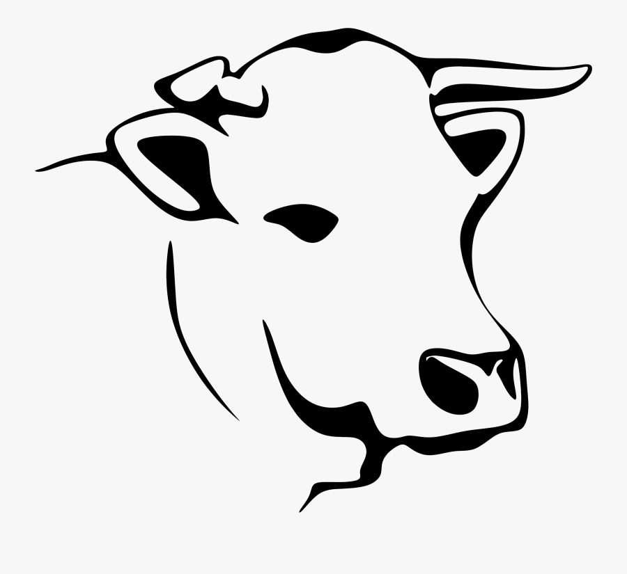 Attibution Is Required- In Order To Use A This Photo - Ayuntamiento Hueyapan De Ocampo, Transparent Clipart