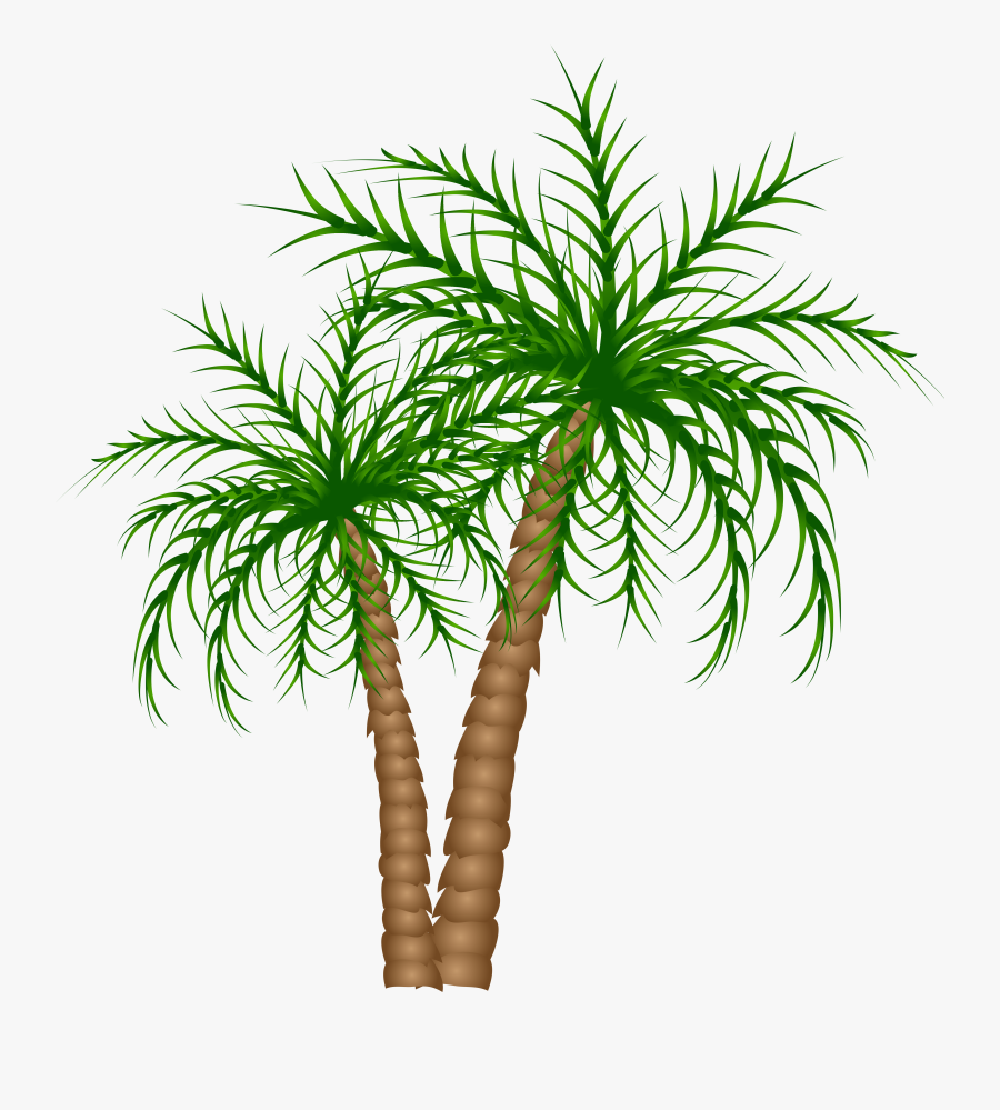 Date Tree Clipart Png , Png Download - Palm Trees Transparent Background, Transparent Clipart