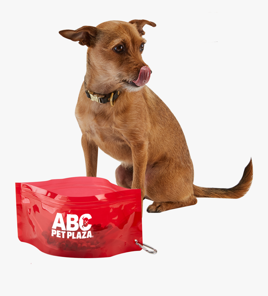 3249 Fold-it™ Pet Bowl - Dog Catches Something, Transparent Clipart