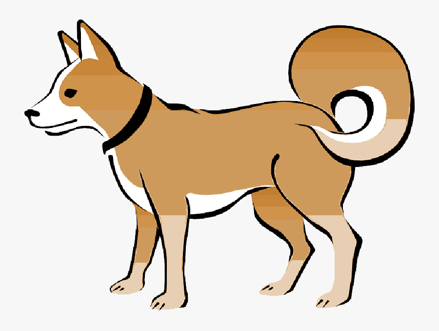 Brown, Dog, Pet, Animal, Tail, Eskimo, Collar, Curly - Transparent Background Dog Clip Art, Transparent Clipart