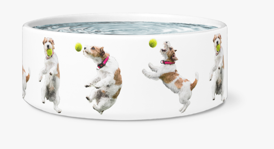 Transparent Jumping Dog Png - Dog Catches Something, Transparent Clipart