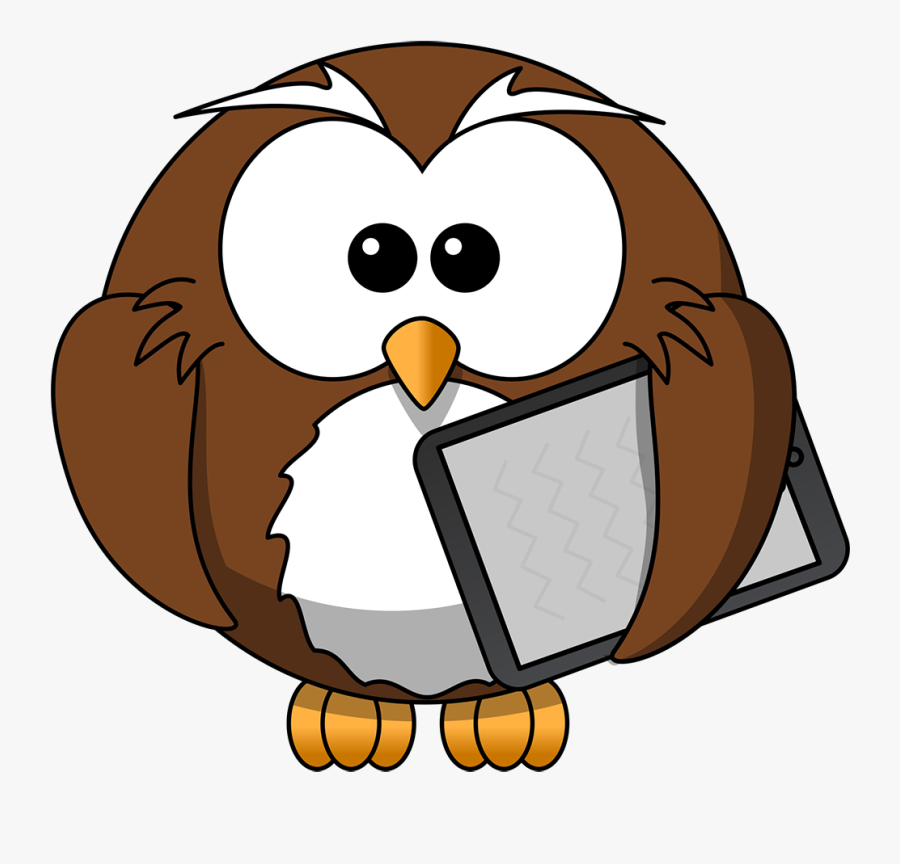 Owl Flashcard For Kids, Transparent Clipart