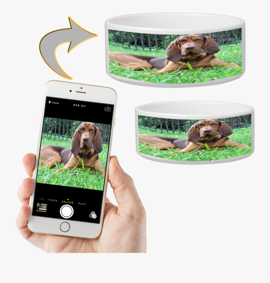 Personalized Pet Bowls - Personalized Picture Dog Bowl, Transparent Clipart