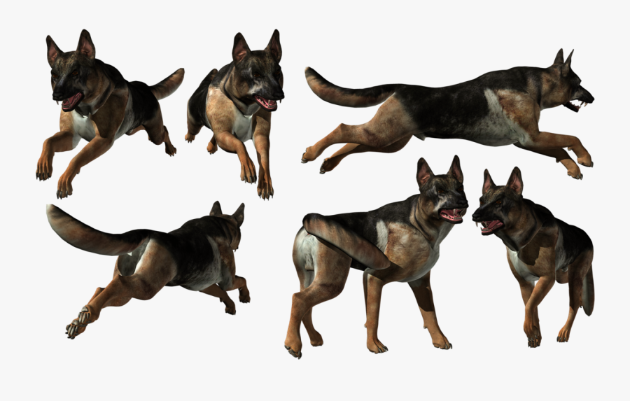 German Shepherd Png - Dog Photos Transparent Background German Shepherd, Transparent Clipart