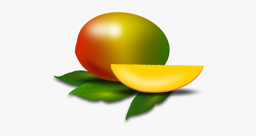 Graphic Design, Transparent Clipart