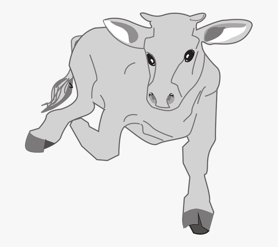 Animated Cow Running Png, Transparent Clipart