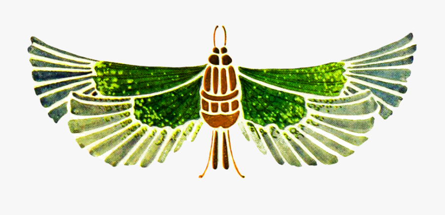 Butterfly Drawing Jugend Style - Illustration, Transparent Clipart