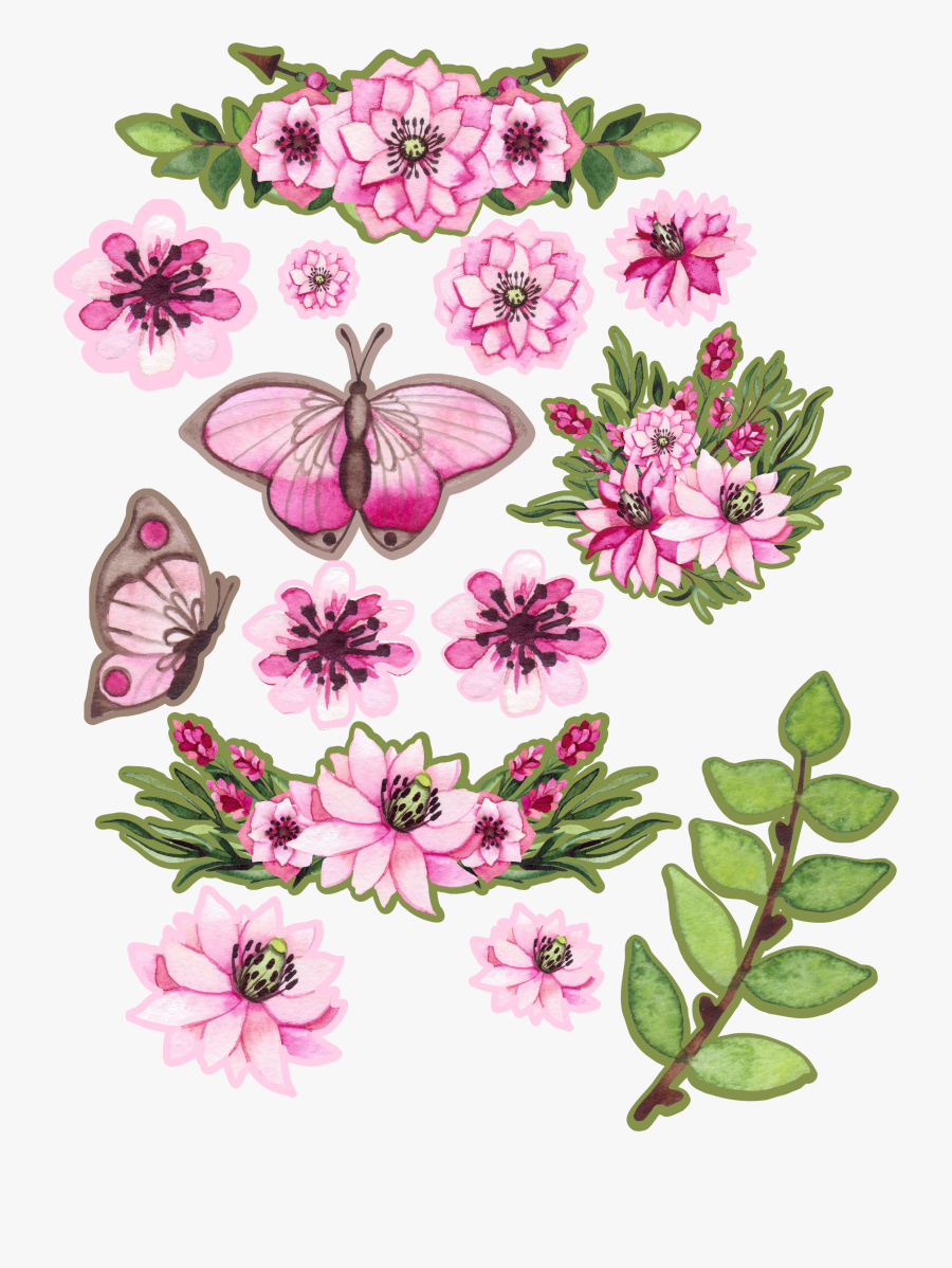 African Daisy, Transparent Clipart