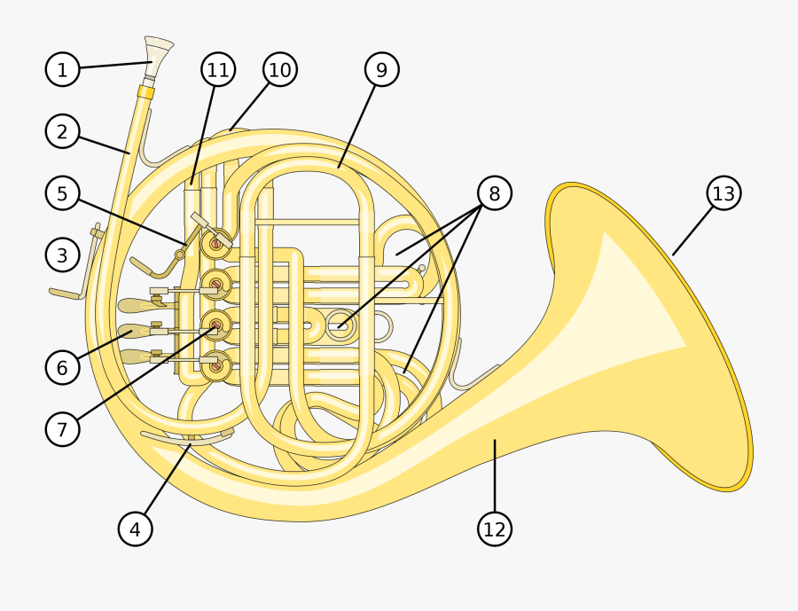 French Horn Back - Waldhorn Aufbau, Transparent Clipart