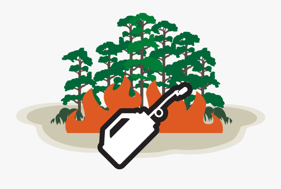 Illustration, Transparent Clipart