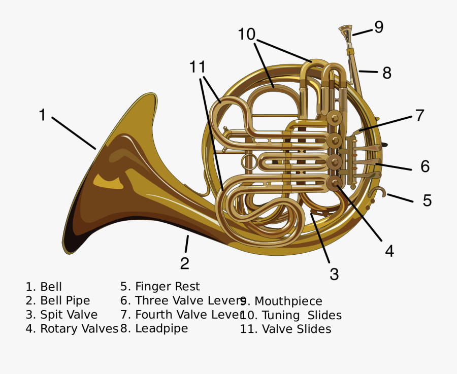 File - Carynprice-french Horn - Svg - Parts Of A Double - Parts Of A Double French Horn, Transparent Clipart