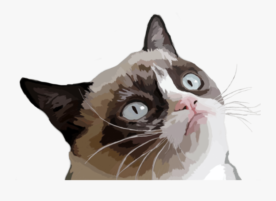 Angry Cat Png - Grumpy Cat Vector Png, Transparent Clipart